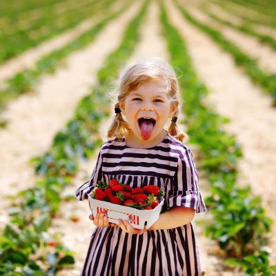 Διατροφή παιδιού προσχολικής ηλικίας - Τι να τρώνε τα παιδιά 4 ετών (πρόγραμμα μιας ημέρας)