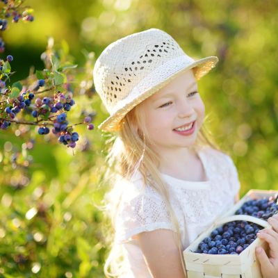 Blueberries (μύρτιλα) και παιδιά: Οφέλη, διατροφική αξία και συνταγές