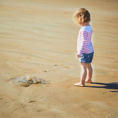 Τσίμπημα μέδουσας: Τι πρέπει να κάνετε και τι όχι