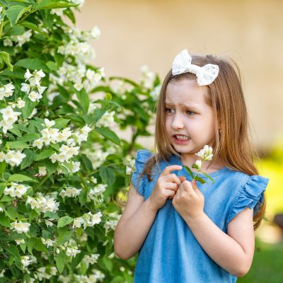 Τσίμπημα σφήκας ή μέλισσας: Τι  πρέπει να κάνετε άμεσα