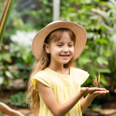 Μιλήστε στα παιδιά για τον κύκλο της ζωής - Μαθαίνουμε για την πεταλούδα