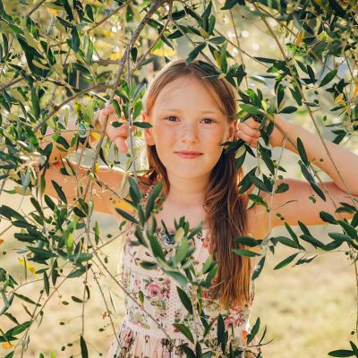 Πώς θα φτιάξετε κότινο - Το στεφάνι αγριελιάς που στεφάνωναν τον νικητή των Ολυμπιακών Αγώνων