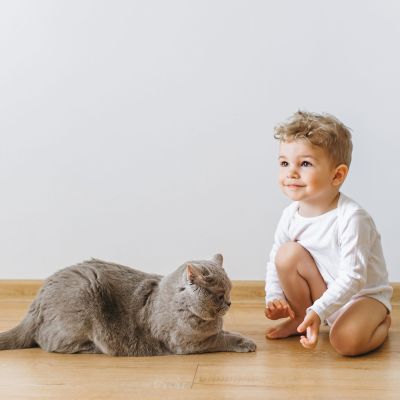 Αφήνοντας τη γάτα σας μόνη της όσο βρίσκεστε σε διακοπές - 12 tips για να ακολουθήσετε