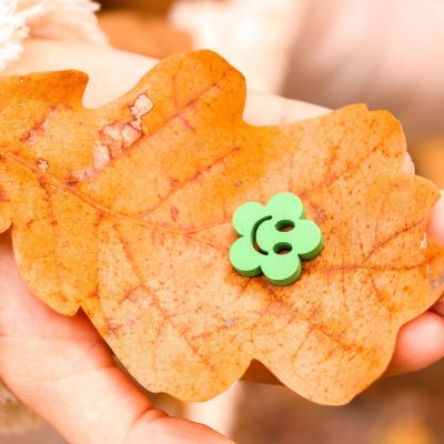 Μαγικό πείραμα με χάρτινα λουλούδια που «ανθίζουν» στο νερό