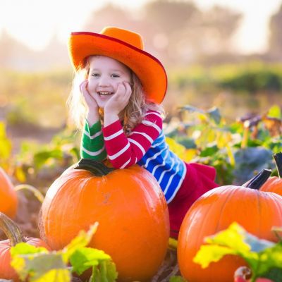 Κολοκύθα: Η τεράστια διατροφική αξία της, οι ελάχιστες θερμίδες και εύκολες συνταγές