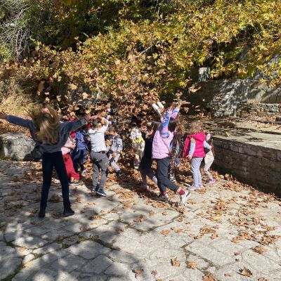 Νοέμβριος γεμάτος εκπλήξεις στη Βαμβακού Λακωνίας