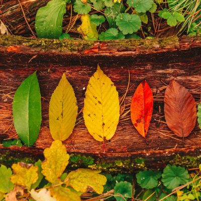 Ποια είναι η καλύτερη εποχή του χρόνου για να μείνεις έγκυος;