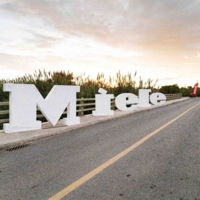 Navarino Challenge 2024: Τρία facts που αποδεικνύουν πως ο αθλητισμός και η γαστρονομία πάνε μαζί