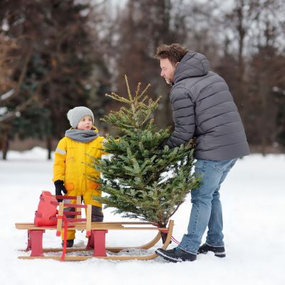 To tip της μαμάς: Πώς να φροντίσετε το φυσικό χριστουγεννιάτικο δέντρο