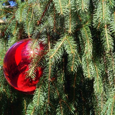 Πώς θα δείξει πιο εντυπωσιακό το χριστουγεννιάτικο δέντρο σας - Το κόλπο με τις μπάλες