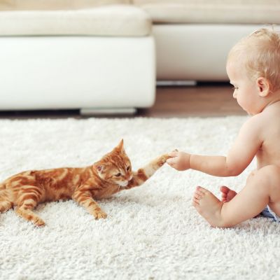Γάτα και μωρό: Όλα όσα πρέπει να γνωρίζετε + οδηγός γνωριμίας