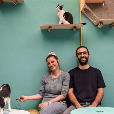 1o Cat Festival: Ενημέρωση για την ευζωία και τη φροντίδα γατών και δωρεάν δραστηριότητες για παιδιά