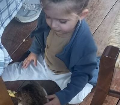 Δημήτρης Αλεξάνδρου: Ο γιος του λατρεύει τα ζώα - Το τρυφερό βίντεο με τη γάτα