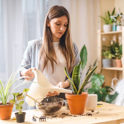 Πώς να καλλιεργήσετε φυτά εσωτερικού χώρου που θέλουν ελάχιστη φροντίδα