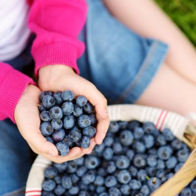 Όχι στο μπολ όχι στο ψυγείο: Το καλύτερο μέρος για να τοποθετήσετε τα βατόμουρα ώστε να μην χαλάσουν