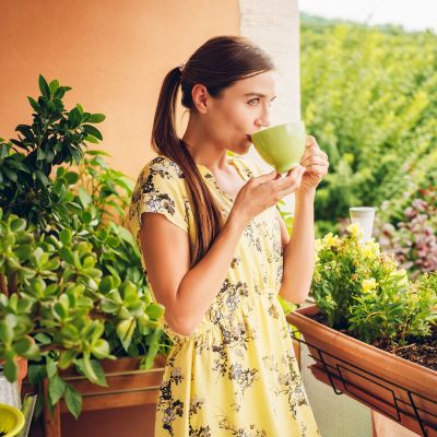 Αντίο κουνούπια! 7 φυτά που τα απομακρύνουν και κάνουν την βεράντα σου έναν επίγειο παράδεισο