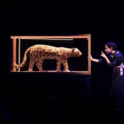 Το θρυλικό «Καπλάνι της Βιτρίνας» επιστρέφει για 2η χρονιά στο Ίδρυμα Μιχάλης Κακογιάννης