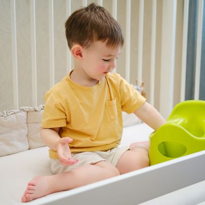 Όλα όσα πρέπει να ξέρεις πριν ξεκινήσεις την εκπαίδευση τουαλέτας