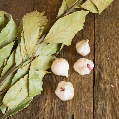 Πού να τοποθετήσετε φύλλα δάφνης ώστε να προσελκύσετε αφθονία, σύμφωνα με το Φενγκ Σούι