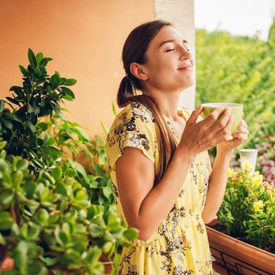 Iδιωτικότητα στο μπαλκόνι: Τα καλύτερα ψηλά και ανθεκτικά φυτά