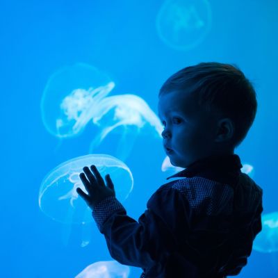 Τσίμπημα από τσούχτρα και παιδί: Τι πρέπει να κάνετε