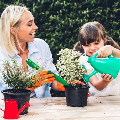 Είδατε τρύπες στα φύλλα των φυτών; Να τι πρέπει να κάνετε