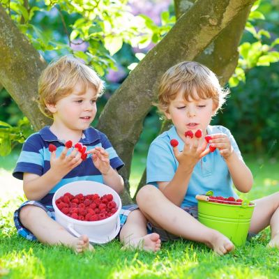 35 ιδέες για σνακ (περιλαμβάνει συνταγές για διαβήτη, κοιλιοκάκη και υγιεινή διατροφή)