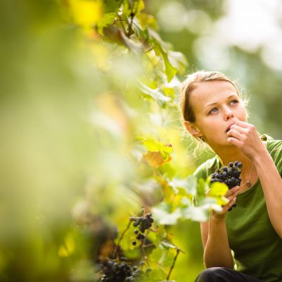 Παχαίνουν τα σταφύλια; Τι λένε οι ειδικοί