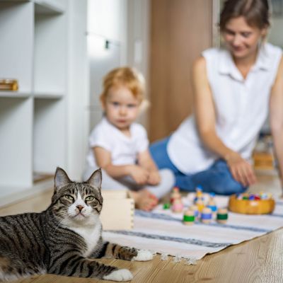 Μέθοδος Montessori - Τι να γνωρίζουν οι γονείς