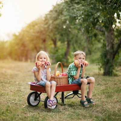Πώς να κάνετε τα παιδιά σας να αγαπήσουν τη σωστή διατροφή;