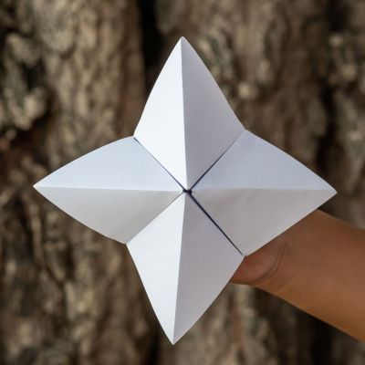 «Χάρτινη αλατιέρα»: Φτιάξτε το παιχνίδι των παιδικών σας χρόνων που προβλέπει το μέλλον (vid)