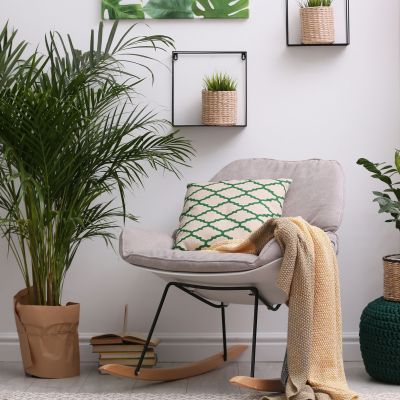 5 tips για να παραμείνουν τα φυτά εσωτερικού χώρου υγιή τον χειμώνα