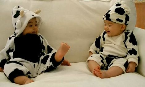 Βίντεο: Είμαστε δύο μικρές αγελαδίτσες!