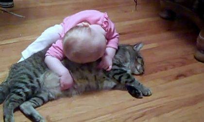 Αστείο βίντεο: Η γάτα… ήρωας στα χέρια ενός μωρού!