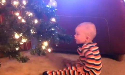 Βίντεο: Δείτε με πόση χαρά ο μπόμπιρας πετά τις Χριστουγεννιάτικες μπάλες!