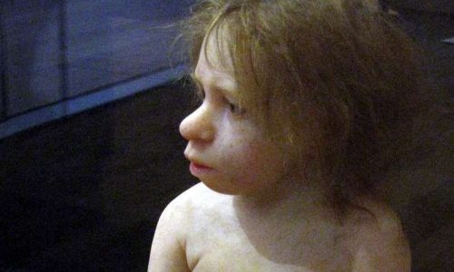 Ποια θα ήθελε να κυοφορήσει ένα μωρό Νεάντερνταλ;