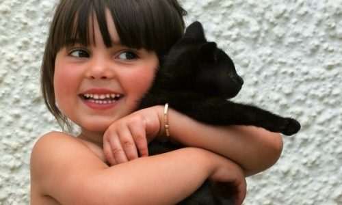 Ημέρα Αγκαλιάς Γάτας η σημερινή! Eμπρός λοιπόν! Αγκαλιάστε τα γατιά σας! (βίντεο)