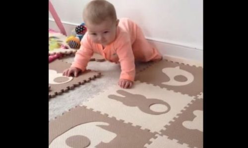 Όταν το μωρό τραβάει όλη την προσοχή ο σκύλος ζηλεύει! (βίντεο)