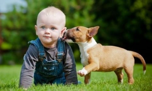 Φιλάτε το σκύλο σας; Δείτε τι μπορείτε να πάθετε!