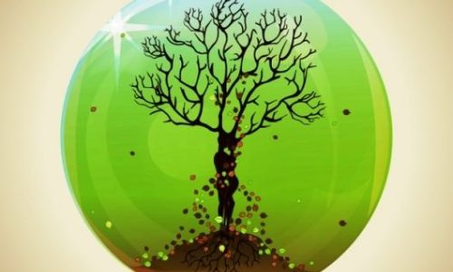 Εσύ τι ζώδιο είσαι στο Κέλτικο ωροσκόπιο;