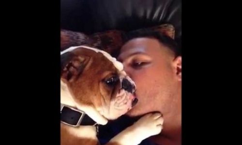 Καταπληκτικό! Αυτός ο σκυλάκος δε χορταίνει τα φιλιά του ιδιοκτήτη του! (video)