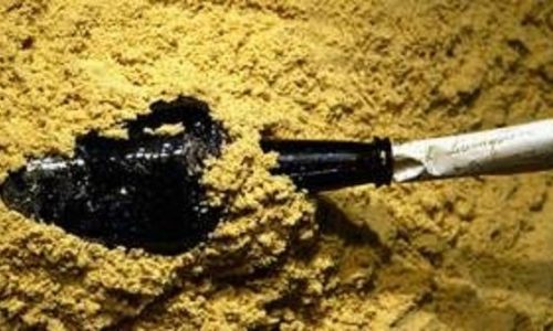 Η συγκινητική ιστορία ενός μικρού εξερευνητή