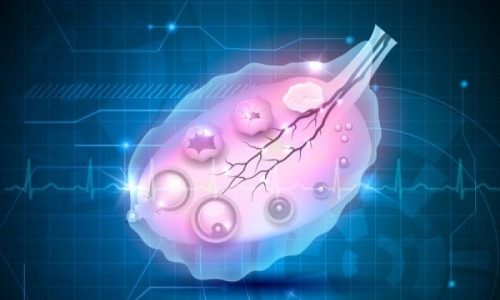 Αποκατάσταση της γονιμότητας χάρη σε ωοθήκες εργαστηρίου