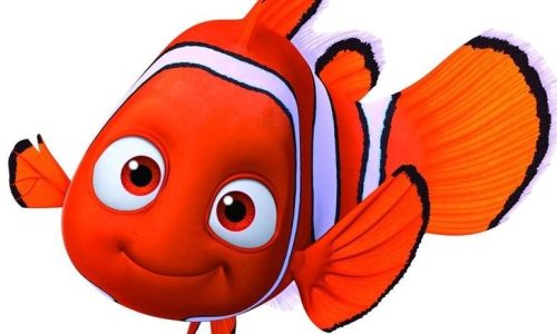 Απειλείται με εξαφάνιση το εξωτικό ψάρι του «Νέμο»