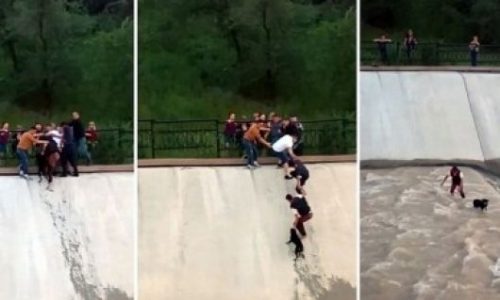 Συγκλονιστικό! Πέντε θαρραλέοι φίλοι σώζουν ένα κουτάβι από τα ορμητικά νερά! (video)