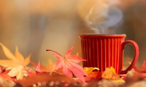 Ημερήσιες Προβλέψεις για όλα τα Ζώδια 26/11