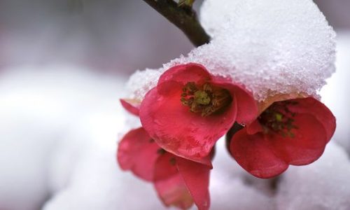 Ημερήσιες Προβλέψεις για όλα τα Ζώδια 09/02