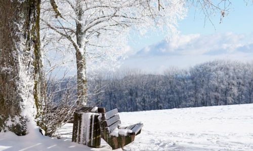 Ημερήσιες Προβλέψεις για όλα τα Ζώδια 11/02