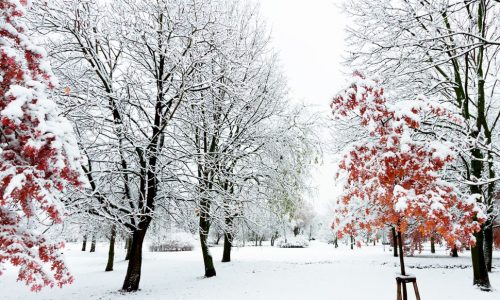 Ημερήσιες Προβλέψεις για όλα τα Ζώδια 12/02