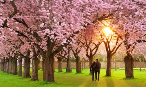 Προβλέψεις αγάπης για όλα τα Ζώδια 20/03